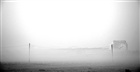 dailyPhoto39